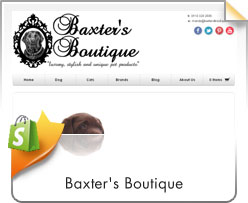 Shopify, Baxters Boutique